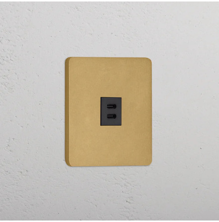 Dubbelt USB-C uttag Antique Brass/Svart