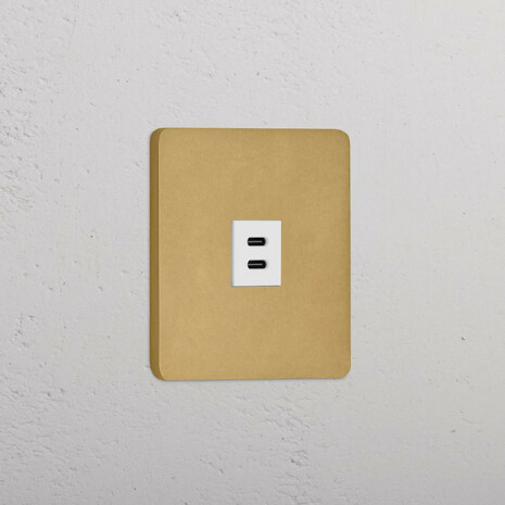 Dubbelt USB-C uttag Antique Brass/Vitt
