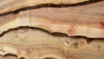 Western Red Cedar - Waney Edge