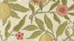 Fruit - Limestone/Artichoke