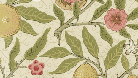 Fruit - Limestone/Artichoke