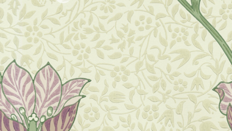 Garden Tulip - Artichoke/Heather