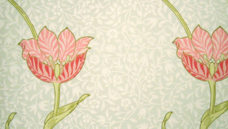 Garden Tulip - Porcelain/Pink