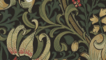 Golden Lily - Charcoal/Olive