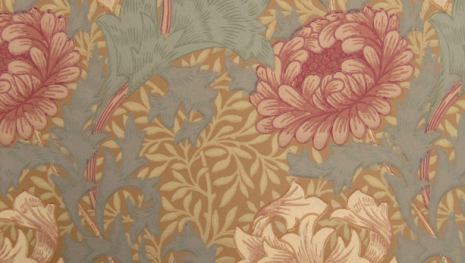 Chrysanthemum - Pink/Yellow/Green