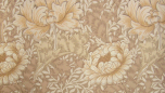 Chrysanthemum - Ivory/Canvas