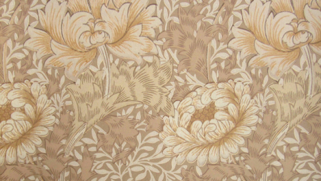 Chrysanthemum - Ivory/Canvas