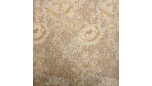 Chrysanthemum - Ivory/Canvas