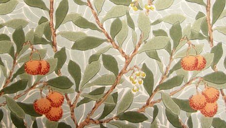 Arbutus - Green/Terracotta