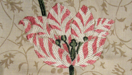 Garden Tulip - Rose/Bayleaf