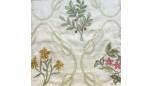 Kelmscott Trellis - Ivory/Amber
